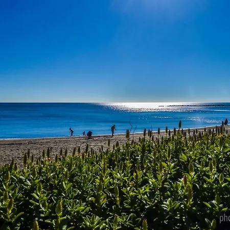 520 Estudio En Minerva - Vista Al Jardin - Playa A 700 Metros *